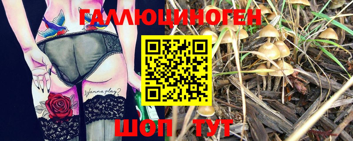 Псилоцибиновые грибы MAGIC MUSHROOMS Белебей
