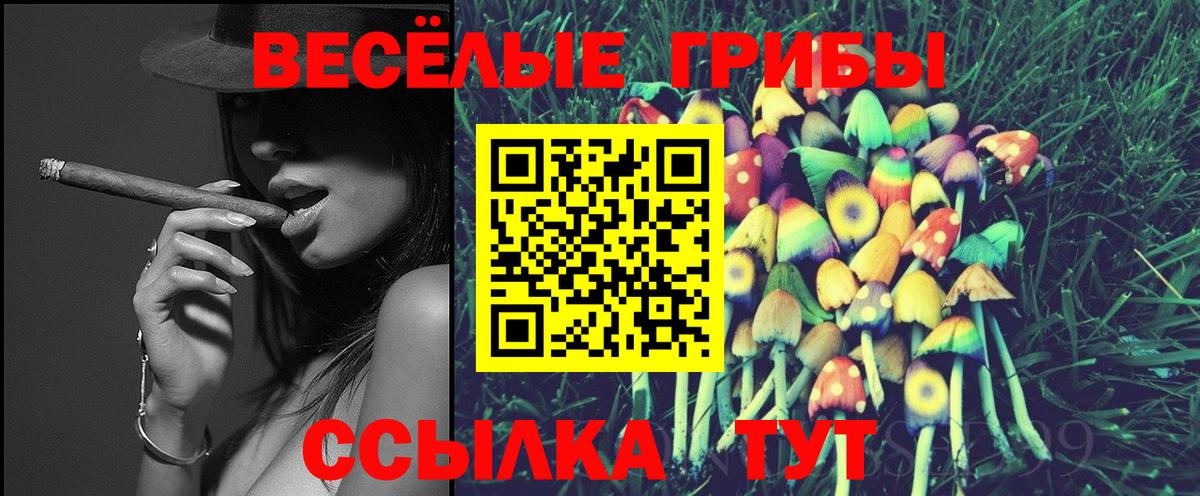 Белебей  Псилоцибиновые грибы прущие грибы  Вход с VPN 